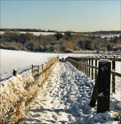18_3WA01_001_1
The footpath leading up from Kingsclere Road to Court Drove - December 2000. The next few photographs illustrate a circular walk up Court Drove, left/west along the Harrow Way, left/south down to Northington Farm and then left/east long Silkmill Lane back to Court Drove. 

By Sue Teagle
