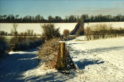18_3WA01_011
At the bottom of the hill turn left along a tarmac lane (if you kept on going you would end up in the farm which is private). The photo shows the view back up the hill to the Harrow Way. 

By Sue Teagle
