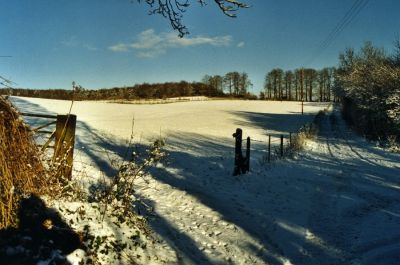18_3WA01_013
View across fields towards the village sewage works 

By Sue Teagle
