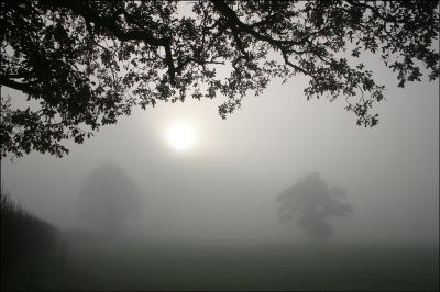 08_1SL005
Field off Straight Lane with the sun trying to break through the mist - December 2005 

By Tony Morris
