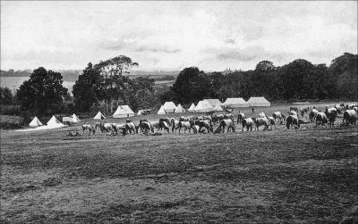 08_2QH007_5
Soldiers camp at Quidhampton - 1916 

From Brian Burgess
