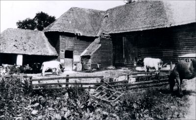 10_1SR001_02
Moore's Farm - c.1920s. This was on the corner of Station Road and London Road (next to where the Overton Memorial Institute is now) 

From Brian Burgess
