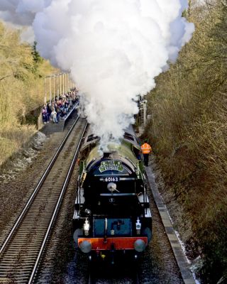 10_2TR012_3
And then off it puffed towards the West Country - what a magnificent sight 

By Pauline Oliver
