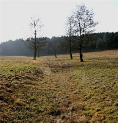 Click to view full size image
==============
11TO013_2
But in January 2006 the channel from the B3400 (which runs along behind the hedgerow in the picture)was bone dry.
By Tony Morris
11TO013_2
But in January 2006 the channel from the B3400 (which runs along behind the hedgerow in the picture)was bone dry.
By Tony Morris