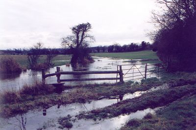 11TO017_1
The previous picture was taken looking east to west along the dry river bed. Here it is seen in flood, looking west to east back across the same field 

From Janice Stott
