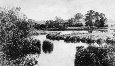 Click to view full size image
==============
11TO027_1
Quidhampton Mill Pond 1904
From Brian Burgess
11TO027_1
Quidhampton Mill Pond 1904
From Brian Burgess