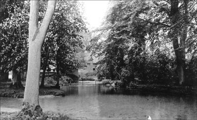 11TO031_1
The back of Quidhampton Mill c.1920s taken from Flashetts. 

From Brian Burgess
