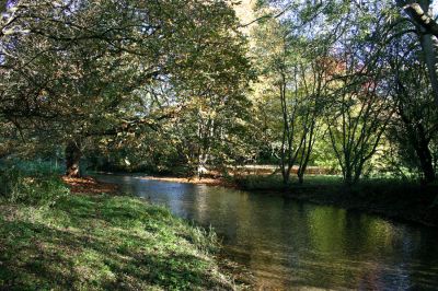 12TT033
This next stretch of the river is really quite beautiful as it flows towards the part which can be viewed from the bridge in Southington Lane. Photo 2006. Again please note that this is private property. 

By Tony Morris
