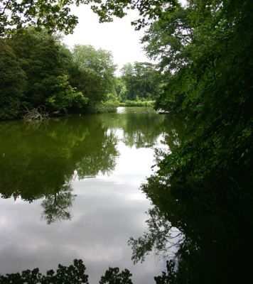 Click to view full size image
==============
12TT041_1
Laverstoke Mill millpond - 2006 (For pictures of Laverstoke Mill see the section on Portals)
By Tony Morris
12TT041_1
Laverstoke Mill millpond - 2006 (For pictures of Laverstoke Mill see the section on Portals)
By Tony Morris