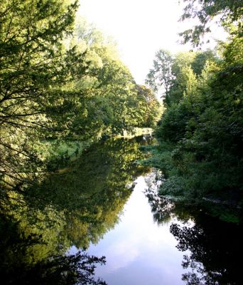 Click to view full size image
==============
12TT043_3
View upstream into Laverstoke Park from the B3400 bridge - 2006
By Tony Morris
12TT043_3
View upstream into Laverstoke Park from the B3400 bridge - 2006
By Tony Morris