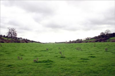13_5RH002
This field beside Rotten Hill was once used for horse races during Overton Carnivals. In living memory, it was also used for football by Portals AC. The land slopes inwards from both wings and down hill towards one end. Frank Smith remembers that when out on the wing he stood higher than the goal posts. Another old Overtonian chuckled when he said it was quite a skill to use the side slope and down-hill slope for a long shot at goal. Photo 2006 

By Tony Morris
