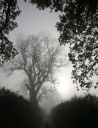 UPL_08_1SL004.jpg