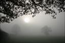 UPL_08_1SL005.jpg