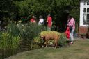 Filename=UPL_13_4ST005_11.JPG
Filesize=674KiB
Dimensions=900x600
Date added=Jul 04, 2013 UPL_13_4ST005_11.JPG