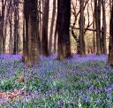 UPL_13_8SW003_01.jpg